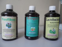 Biofertilizante